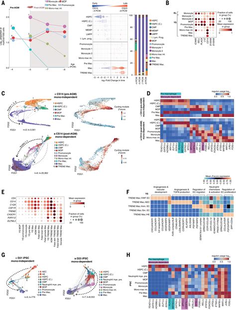 Yolk Sac Cell Atlas Reveals Multiorgan Functions During Human Early