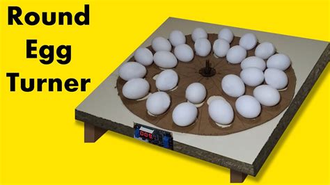 Round Egg Turner How To Make Incubator Egg Turner Automatic Egg Rotator Youtube