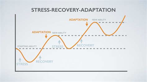 Maximize Recovery With Football Training Exercises