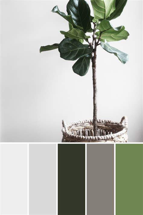 Potted Plant Color Palettes This Growing Home