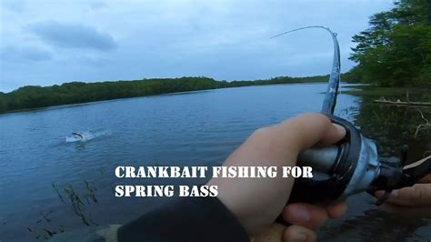 Crankbait Fishing For Spring Bass Burke Lake Youtube