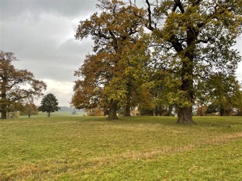 Greensand Countrys Historic Parkland Greensand Country