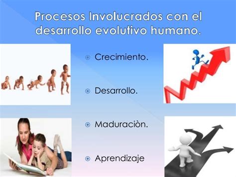 Psicología Evolutiva