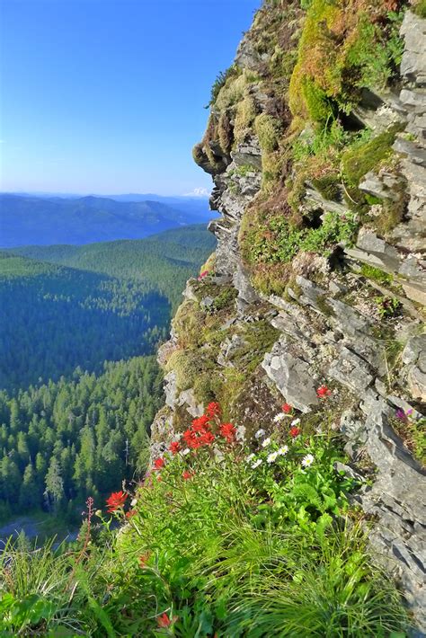 Photos by Quaeréndus: Larch Mountain