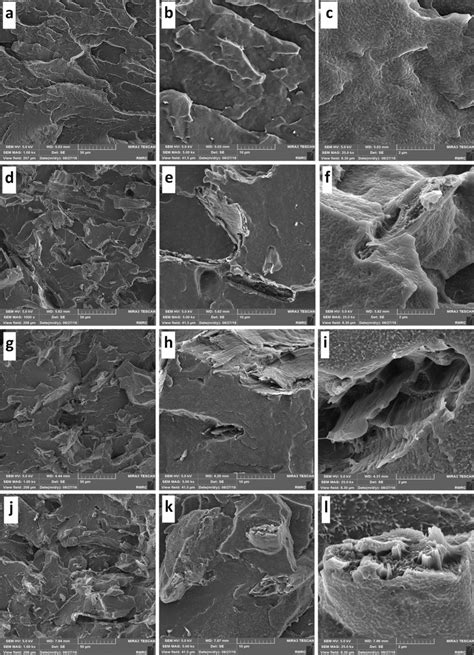 Fe Sem Micrographs Of The Fractured Surface Of Specimens A B And C