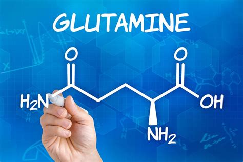 L Glutamine Benefits Side Effects Dosage Dr Axe L Glutamine