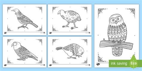 New Zealand Native Birds Mindfulness Colouring Pack