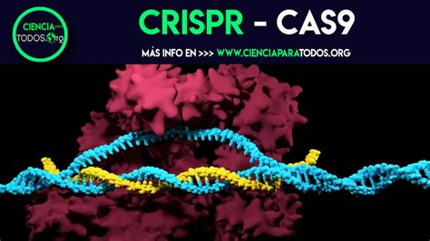 CRISPR Cas9 EDICIÓN GENÉTICA