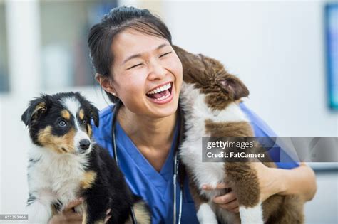 Dog Kisses High-Res Stock Photo - Getty Images