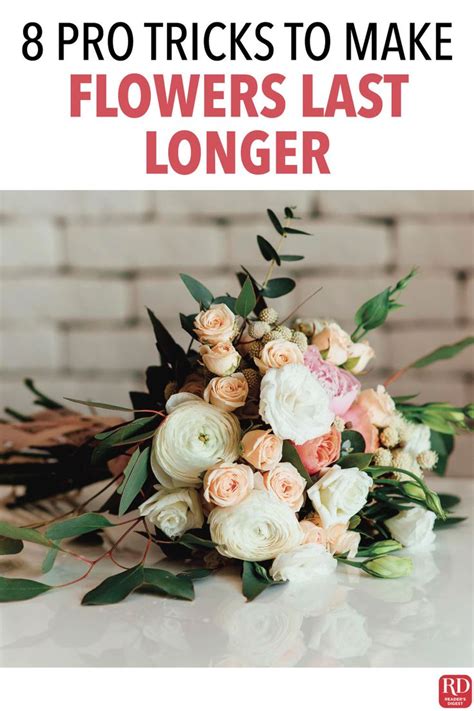 How To Make Flowers Last Longer 8 Pro Tricks Flowers Last Longer Flower Making Flower Care