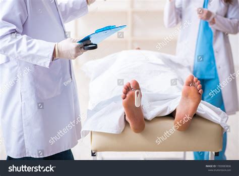 1 083 Medical Cadaver Images Stock Photos Vectors Shutterstock