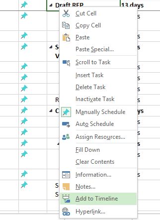 How to Make a Timeline Using Microsoft Project