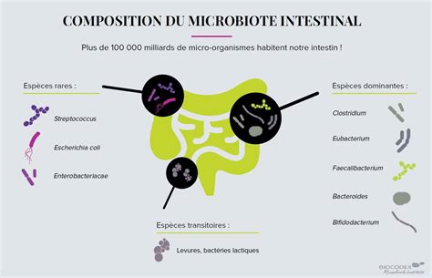 Microbiotas Residentes E Transitorias LIBRAIN