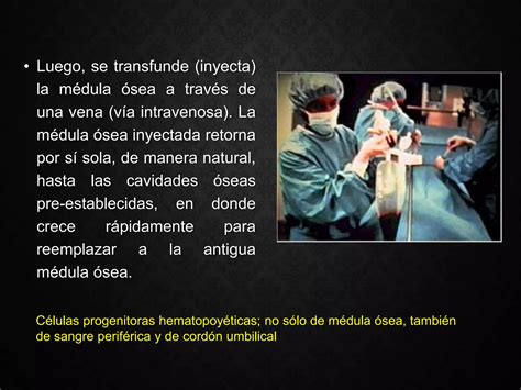 Transplante De Medula Osea Ppt