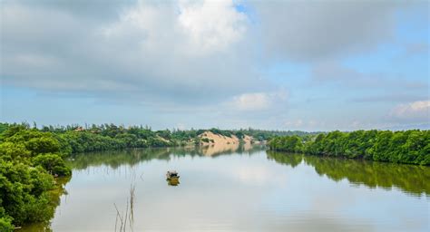 Free Images Landscape Tree Nature Grass Marsh Cloud Sky