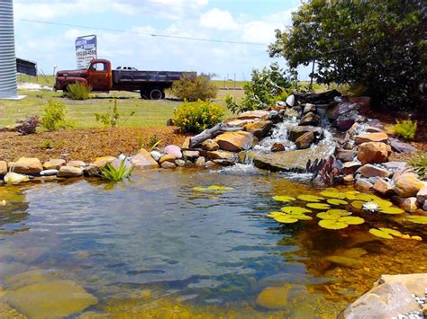 Ecosystem Ponds Water Garden Ideas For Your Austin Central Texas