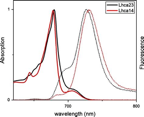 Absorption Solid And Fluorescence Emission Dot Spectra Of Lhca