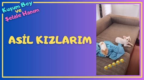 Kuşum Aydın ve Şelale Hanım Vlog Benim Akıllı Kızlarım YouTube