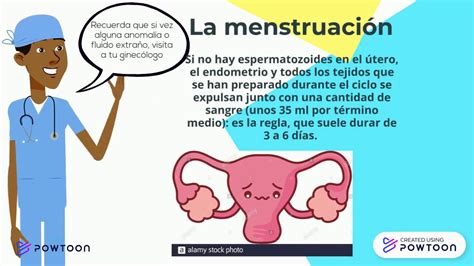 Menstruación Youtube