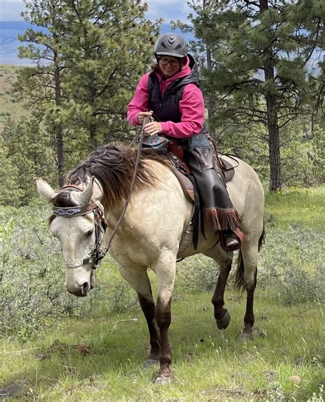 Horse Training - The Wooden Horse