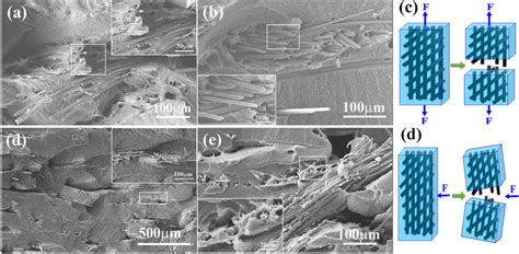 A Tensile Fracture Surface B Corresponding Continuous Carbon