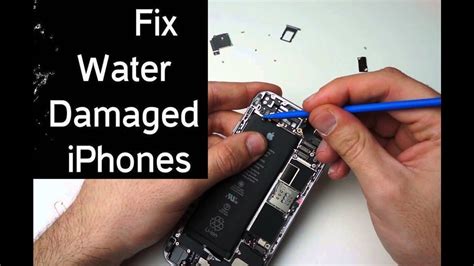 Iphone S Water Damage Repair How To Fix A Water Damaged Iphone