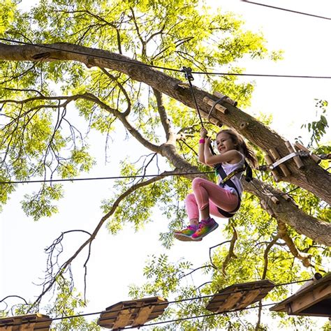 Go Ape Zipline And Treetop Adventures Learn More