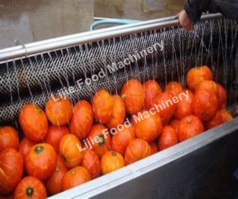 Lj Electric Brush Type Sweet Potato Washing Peeling Machine Beet