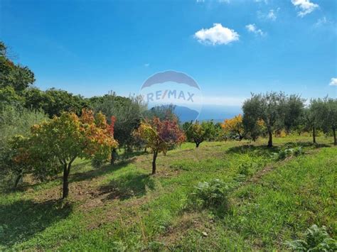 Terreno Edificabile Strada Provinciale Nunziata Puntalazzo Mascali