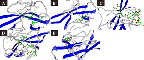 Frontiers Molecular Docking Reveals Ivermectin And Remdesivir As