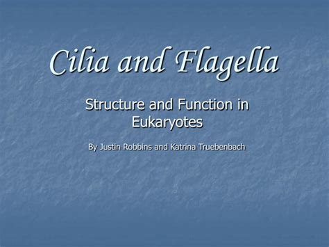 Cilia and Flagella