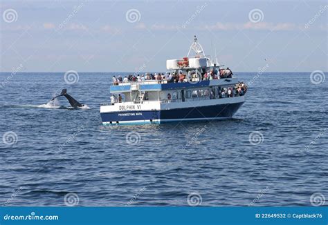 Whale watching editorial photography. Image of jump, migrate - 22649532