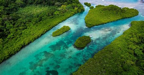 Historisch Portobelo Y Venas Azules GetYourGuide