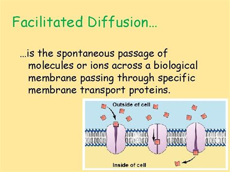 Cell Membranes Including Diffusion Osmosis Facilitated Diffusion Active