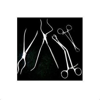 Bone Holding And Plate Holding Forceps At Best Price In Delhi Goods