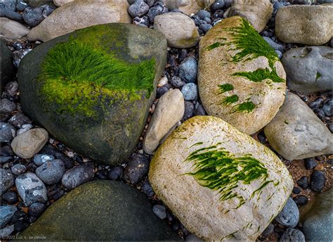 Stones Near Beachy Head Cliffs Eastbourne England Luc V De Zeeuw