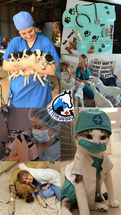 how long do veterinarians go to school