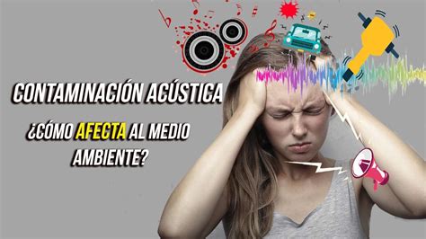 ¿cómo Afecta Al Medio Ambiente La Contaminación Acústica