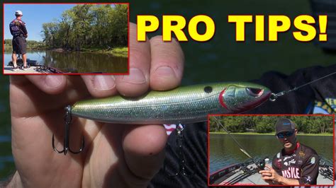 Best Fall Topwater Lures They Really Work Bass Fishing Youtube