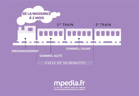 Mémo cycles du sommeil chez bébé le petit train mpedia fr