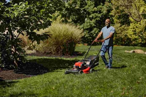 Best Mulching Lawn Mowers Reviews Buyers Guide