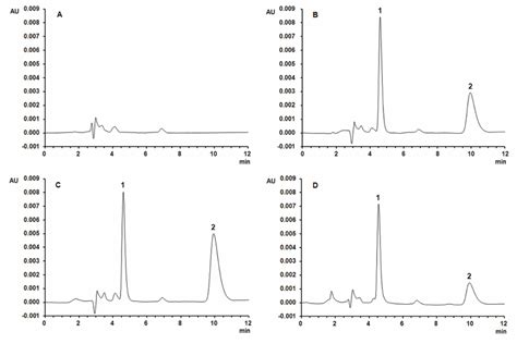 Typical Chromatograms A Blank Rat Plasma B Blank Rat Plasma