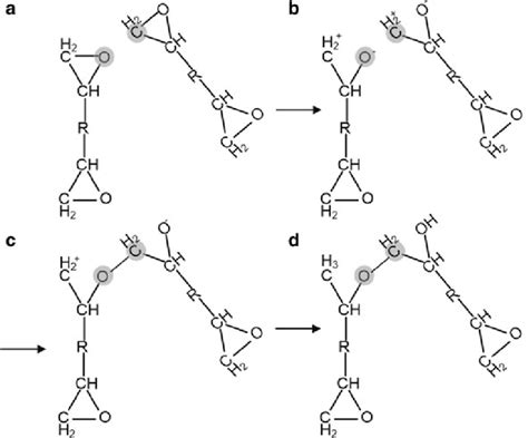 Procedures Of The Cross Linking Process Of The Su Epoxy A The