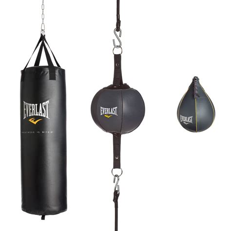 Everlast Punching Bag Literacy Basics