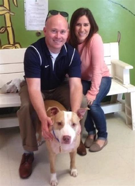 Shelter Dog Who Asks For Belly Rubs Every Day Finally Gets Adopted