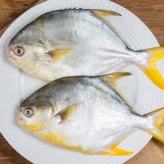 What Does Pompano Taste Like? Exploring the Flavor