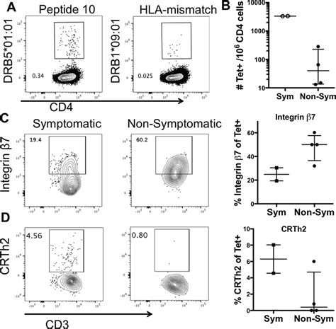 Tetramer Staining And Phenotypic Surface Marker Expression Of T Cells