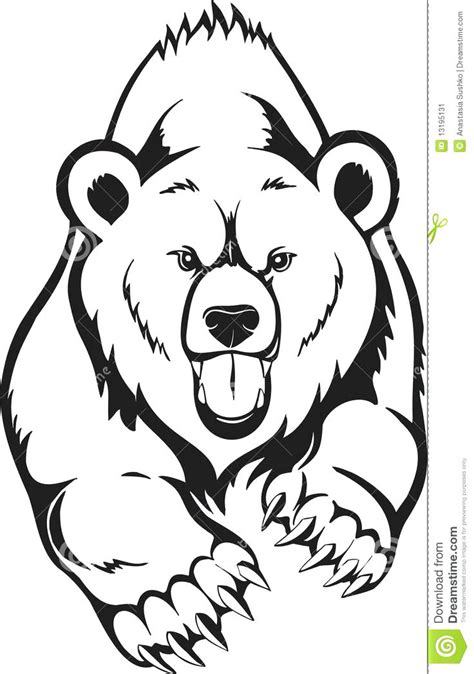 Polar Bear Face Drawing at GetDrawings | Free download