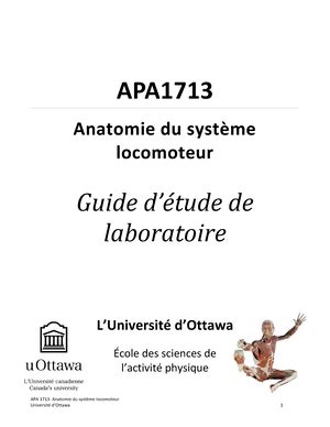 Labo 1 Terminologie Pre Lab 1 For Anatomy APA 1713 Anatomie Du