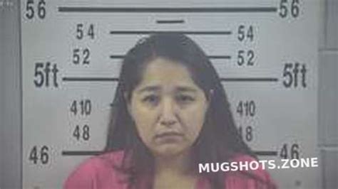 ARACELI JIMENEZ 02 05 2024 Kleberg County Mugshots Zone